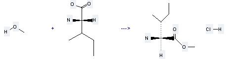 Methyl L-isoleucinate hydrochloride can be prepared by (2S,3S)-2-amino-3-methyl-pentanoic acid and methanol at the ambient temperature